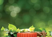 Divya Amvatari Ras